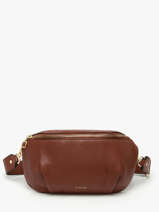 Belt Bag L Tradition Leder Etrier Bruin tradition ETRA022L